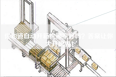 你知道自动开箱机哪家好吗答案让你大开眼界！